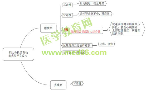 執(zhí)業(yè)藥師知識點