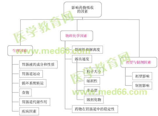 藥物的腸道吸收