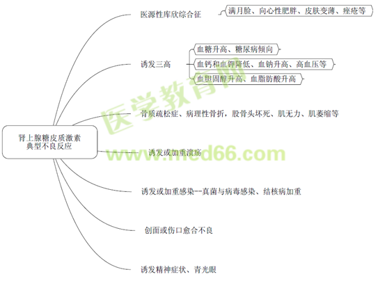 執(zhí)業(yè)藥師《藥學(xué)專業(yè)知識(shí)二》