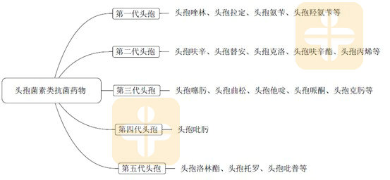 頭孢菌素類藥物分類