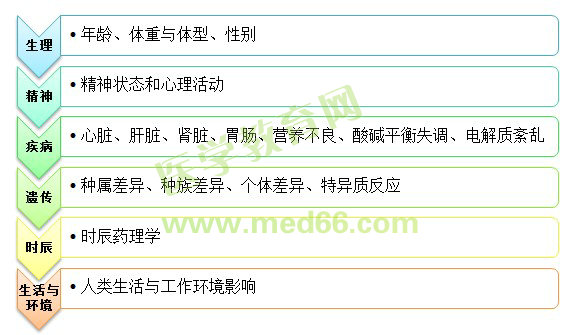 影響藥物作用的機(jī)體方面的因素