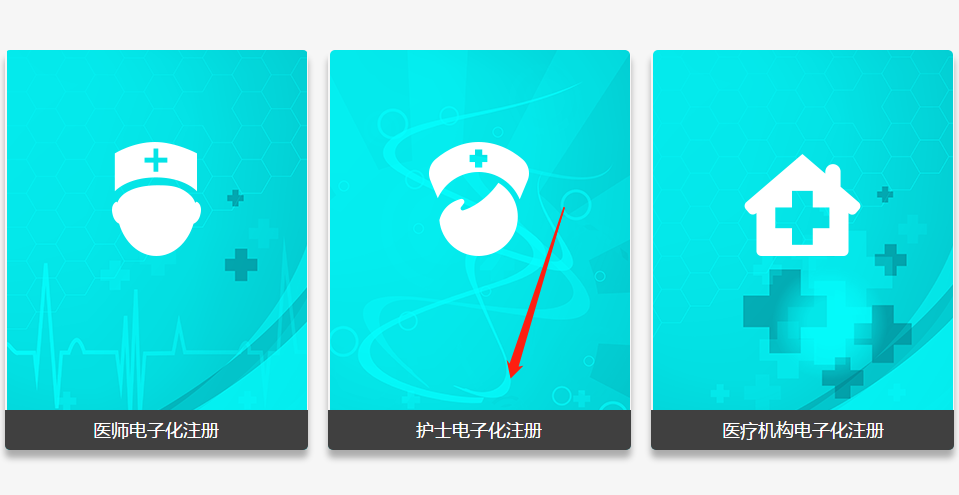 護(hù)士電子化注冊個(gè)人端