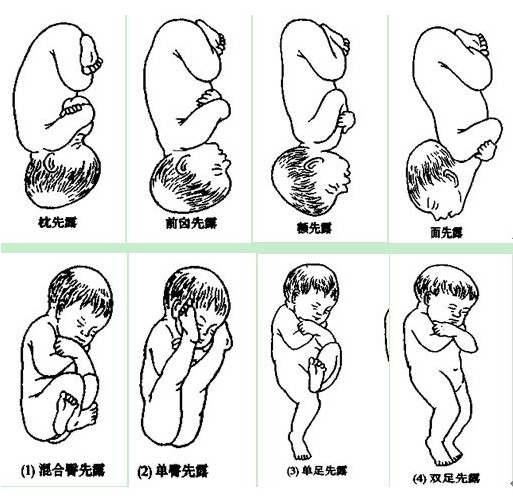 醫(yī)學教育網(wǎng)中級主管護師：《答疑周刊》2019年第15期