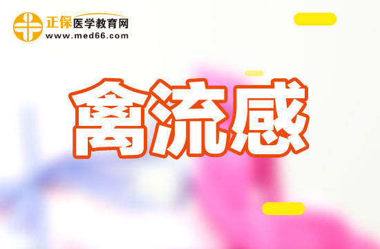 禽流感的癥狀有哪些？