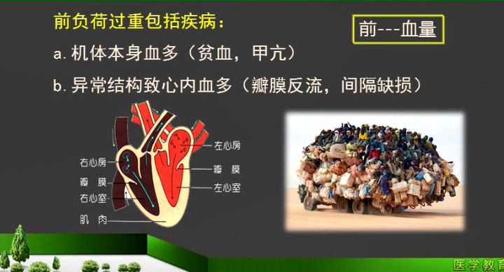 心臟的前負(fù)荷和后負(fù)荷