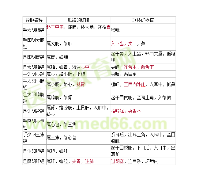 十二經脈與臟腑器官的聯(lián)絡
