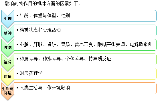 影響藥物作用機(jī)體方面的因素--執(zhí)業(yè)藥師輔導(dǎo)精華