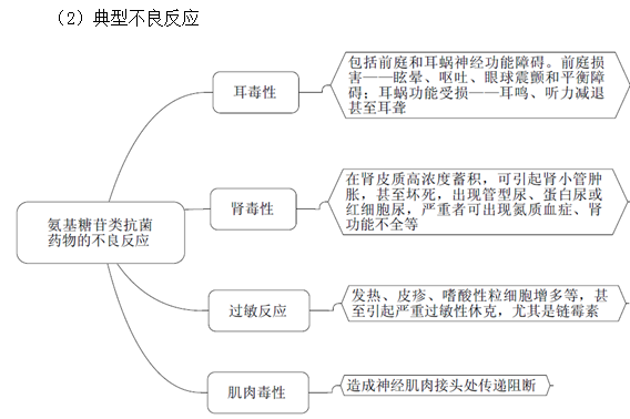 氨基糖苷類抗菌藥物作用機制及特點