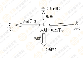 專業(yè)師資帶你學(xué)（五）：執(zhí)業(yè)藥師《中藥綜》五行學(xué)說(shuō)！學(xué)習(xí)要有方法！
