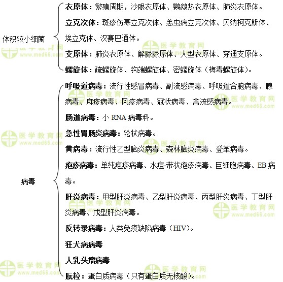 微生物檢驗重點學習內(nèi)容介紹