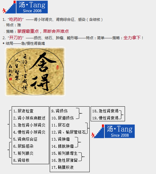 臨床執(zhí)業(yè)助理醫(yī)師泌尿系統(tǒng)特點(diǎn)及19個重點(diǎn)小結(jié)