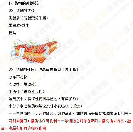 2019年執(zhí)業(yè)藥師《藥一》的藥劑學(xué)，15分鐘經(jīng)典回顧！