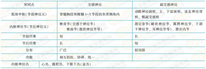 交感神經(jīng)與副交感神經(jīng)的異同 交感神經(jīng)與副交感神經(jīng)的異同