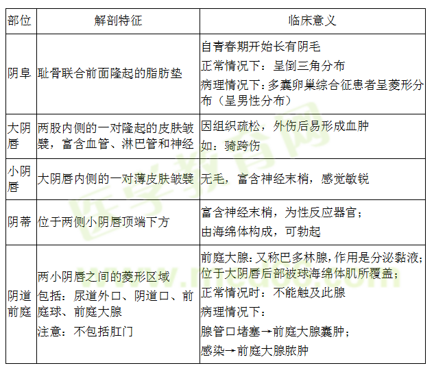 女性生殖系統(tǒng)解剖 女性生殖系統(tǒng)解剖