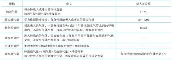 肺通氣量 肺通氣量