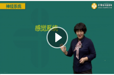 精神系統(tǒng) 精神系統(tǒng)