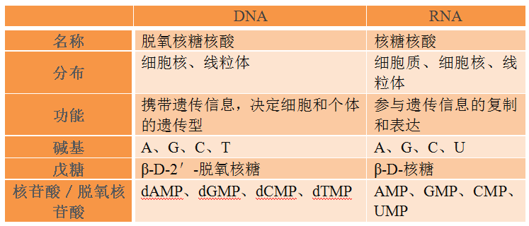 1544753692375427 1544753692375427