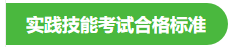 實(shí)踐技能考試合格標(biāo)準(zhǔn) 實(shí)踐技能考試合格標(biāo)準(zhǔn)