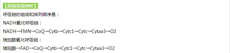 呼吸鏈的組成和排列順序——口腔助理醫(yī)師《生物化學(xué)》常見出題點(diǎn) 呼吸鏈的組成和排列順序——口腔助理醫(yī)師《生物化學(xué)》常見出題點(diǎn)