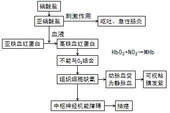 發(fā)病機(jī)制 發(fā)病機(jī)制