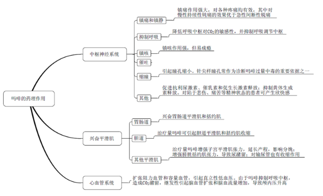 嗎啡的藥理作用 嗎啡的藥理作用