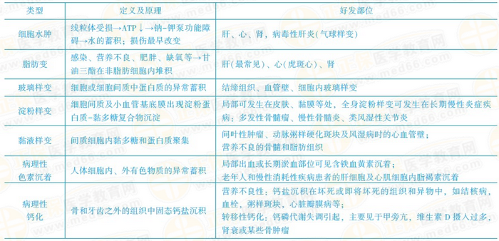 可逆性損傷的?？键c