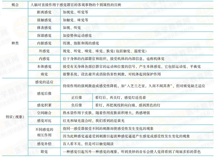 感覺的相關(guān)考點(diǎn)總結(jié)