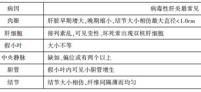 肝硬化病理特點 肝硬化病理特點