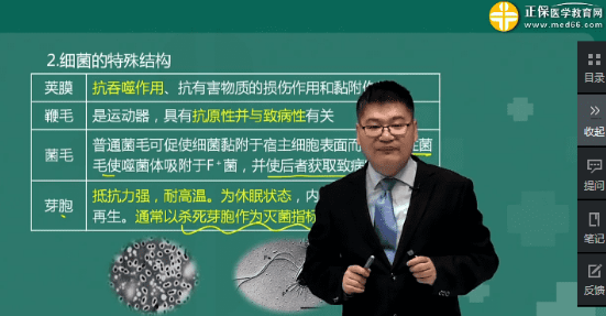 細菌的運動形式選鞭毛還是菌毛