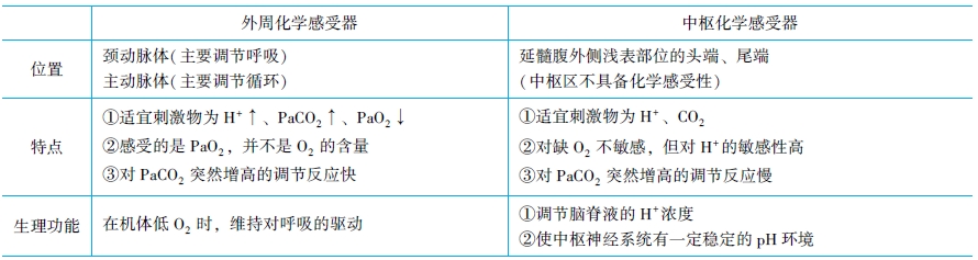 外周化學(xué)感受器與中樞化學(xué)感受器