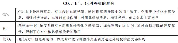 中樞化學(xué)感受器