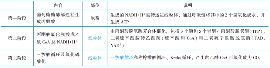 糖的分解代謝和有氧氧化