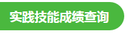 實(shí)踐技能成績(jī) 實(shí)踐技能成績(jī)
