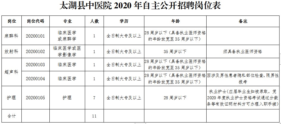 太湖縣中醫(yī)院（安徽省）2020自主公開(kāi)招聘醫(yī)療崗崗位計(jì)劃表