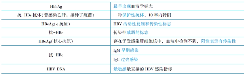 HBV的抗原抗體系統(tǒng)