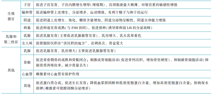 雌激素的生理作用