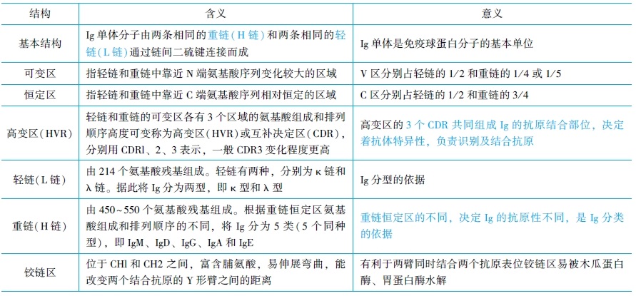 免疫球蛋白的結(jié)構(gòu)和功能