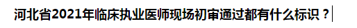 河北省2021年臨床執(zhí)業(yè)醫(yī)師現(xiàn)場初審?fù)ㄟ^都有什么標(biāo)識？