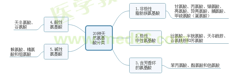 20種氨基酸的天然分類 20種氨基酸的天然分類