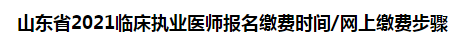 山東省2021臨床執(zhí)業(yè)醫(yī)師報名繳費時間