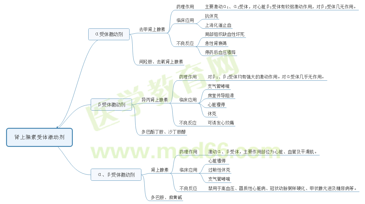 腎上腺素受體激動藥 腎上腺素受體激動藥