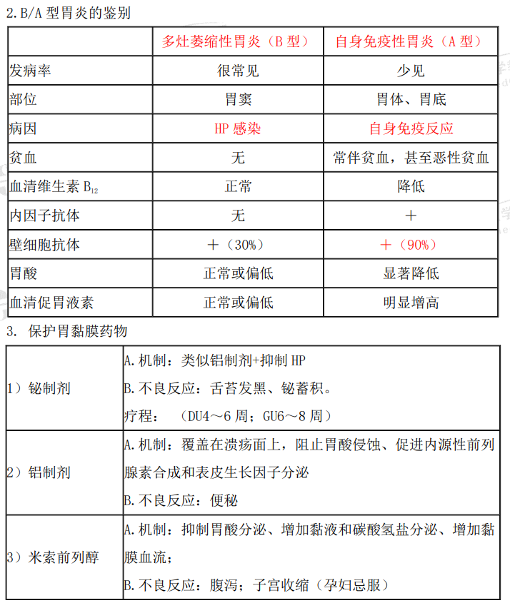 消化系統(tǒng)2 消化系統(tǒng)2