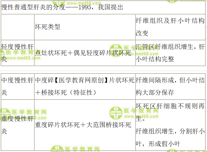 慢性普通型肝炎 慢性普通型肝炎
