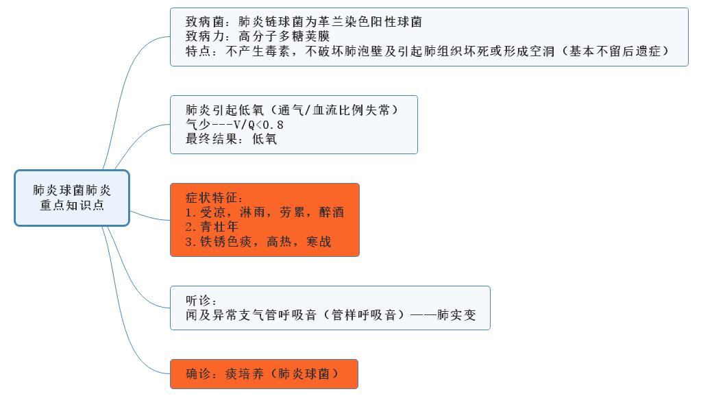 肺炎球菌肺炎重點(diǎn)知識(shí)點(diǎn)