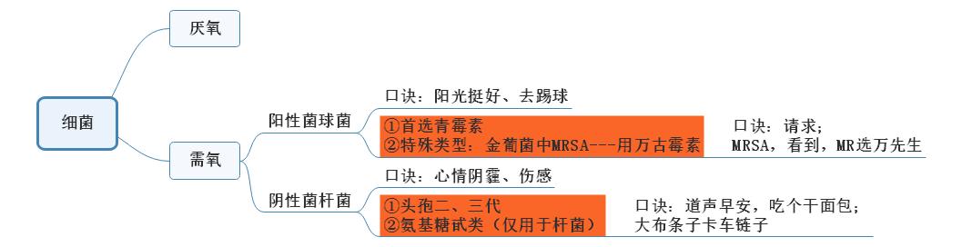肺炎細(xì)菌感染總結(jié)