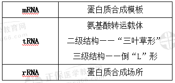 RNA結(jié)構(gòu)與功能