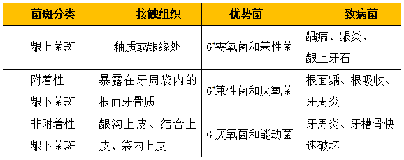 牙菌斑生物膜的分類 牙菌斑生物膜的分類