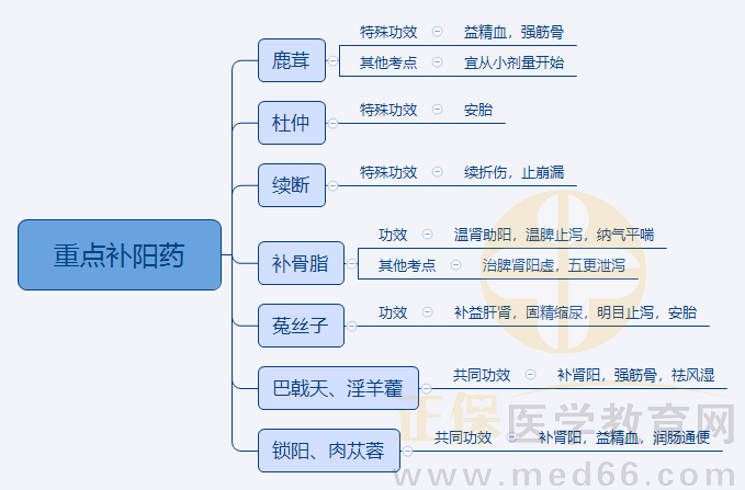 4.重點(diǎn)補(bǔ)陽(yáng)藥 4.重點(diǎn)補(bǔ)陽(yáng)藥