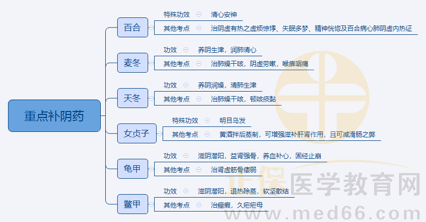 5.重點(diǎn)補(bǔ)陰藥 5.重點(diǎn)補(bǔ)陰藥