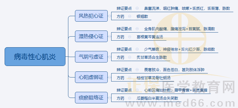 3.病毒性心肌炎 3.病毒性心肌炎